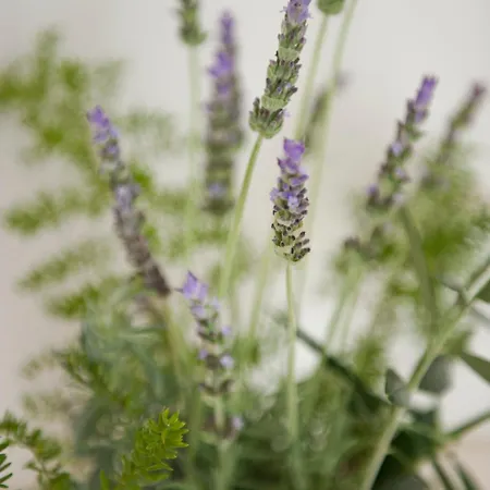 Hotel Tenuta Centoporte Otranto