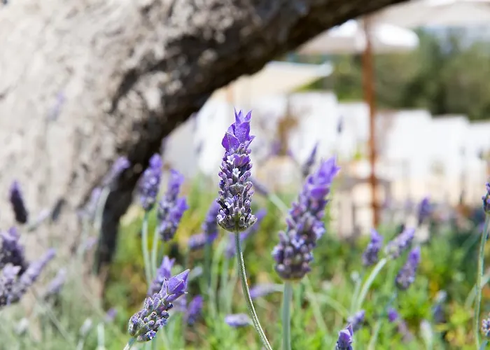 Tenuta Centoporte Hotel Otranto